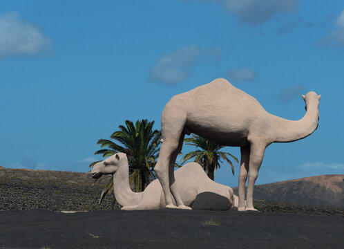 Escultura de  dos dromedarios en una rotonda en la isla de Lanzarote en las Islas Canarias.  