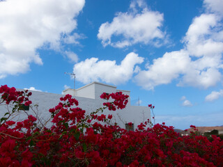 Detalle de arquitectura blanca y lineal típica de la isla de Lanzarote en las Islas Canarias,...