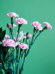 Obraz premium Bouquet of small decorative roses on a colored background. Greeting card with a bouquet of flowers