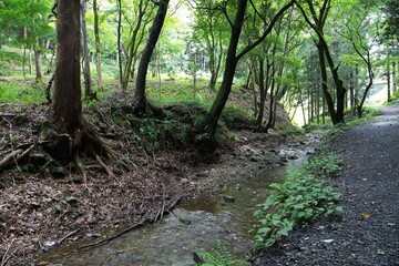 Obraz premium 夏の八王子城跡／東京都八王子市