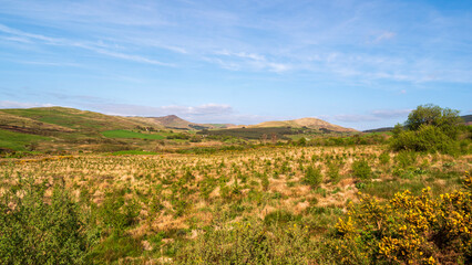 Fototapeta na wymiar Green hilly landscape of County Cork