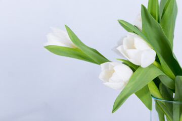 White tulip bouquet on white fabric background