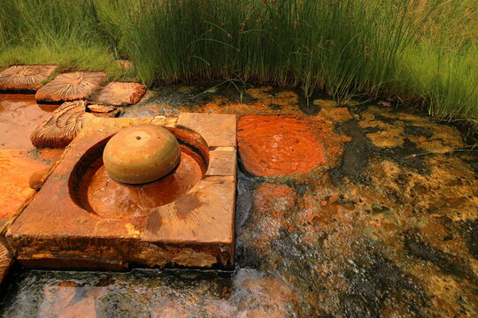 the Soos National Nature Reserve, peat bogs and fens where a large number of mineral springs spring up