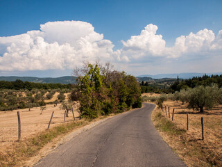 Fototapeta na wymiar Italia, Toscana, campagna di Firenze e nuvole.