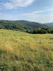 Obraz premium a summer walk through the Czech countryside 