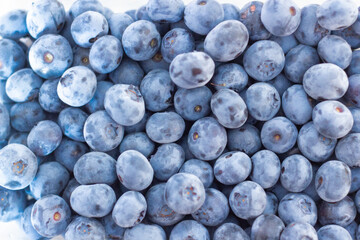 close up of blueberries
