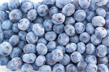 blueberries close up background