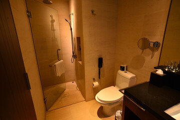 高級ホテルのトイレとシャワーブース 水回り設備 シンガポール
