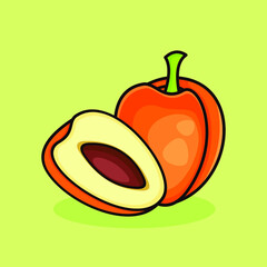 apricot fruit illustration. Vector cartoon fresh