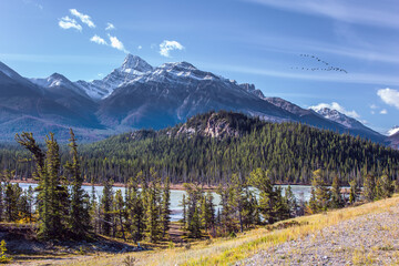 Stunning Abraham Lake