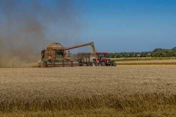 Fototapeta premium Paysage campagne 1391