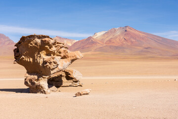 A side view of the Stone Tree (Arbol de Piedra), an isolated rock formation in the Siloli Desert, part of the Altiplano region of Bolivia. The formation of this stone is caused by wind erosion.