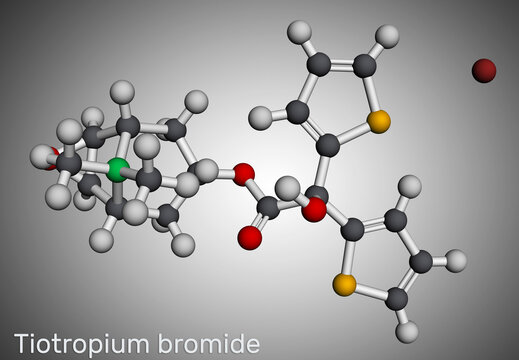 Tiotropium bromide molecule. Antimuscarinic bronchodilator used in the tratement of chronic obstructive pulmonary disease COPD, asthma. Molecular model. 3D rendering