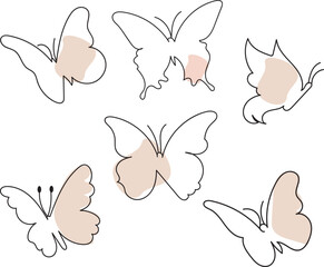 illustration of a set butterfly