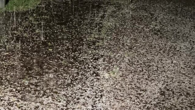 heavy hail on outdoor terrace