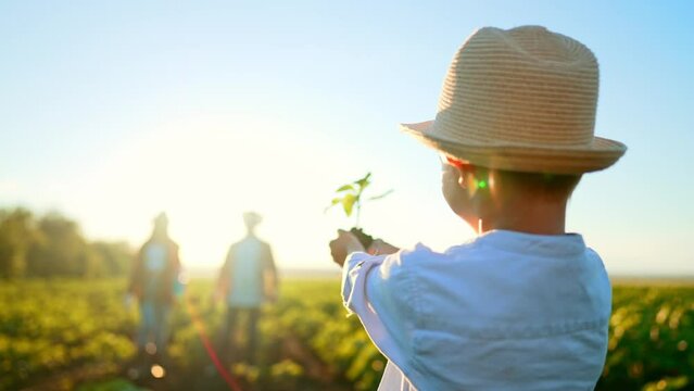 Boy child is holding young tree plant in ground in his palm hands, his parents walking towards him in background. Outdoor nature gardening in field. Care on ecology and environmental protection.