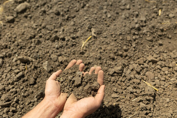 Farmer hands holding and pouring back organic soil. Gardener checking the quality of the soil in his garden. Farmer hands touching soil on field.