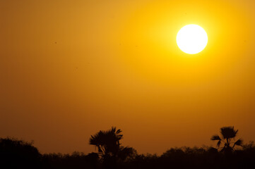 Dawn in the Niokolo Koba National Park. Tambacounda. Senegal.