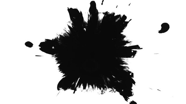 Super Slow Motion Shot of Black Ink Drop Isolated on White Background at 1000 fps.