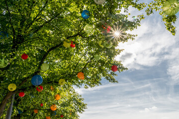 viele bunte runde Lampions hängen zwischen den Blättern eines Baumen und die Sonnenstrahlen leuchte durch die Zweige