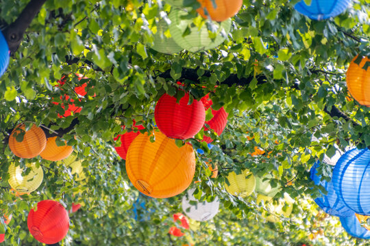 viele bunte Lampions h&auml;ngen an den &Auml;sten eines Baumes Party Feiern