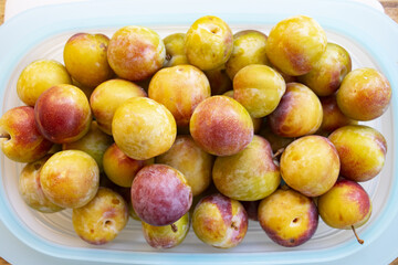 ripe plums in a plastic container