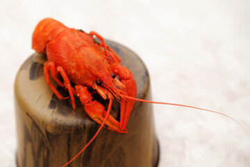 Red boiled crayfish is a tourist delicacy on a stand from a thermos lid.