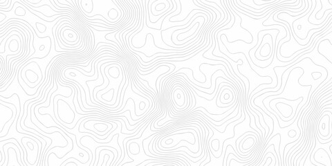 White wave paper curved reliefs abstract background, Abstract topographic contours map background, Vector contour topographic map background. Topography and geography map grid abstract backdrop. 