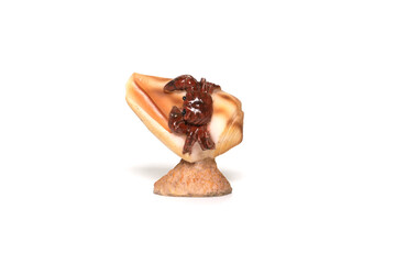 Sea shell souvenir with a crab isolated on white background.