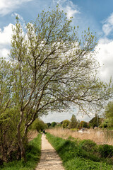 Man walking on footpah along the canal