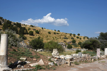Fototapeta na wymiar Ruinen in der alen Stadt TEOS in der Türkei, Weltkulturerbe