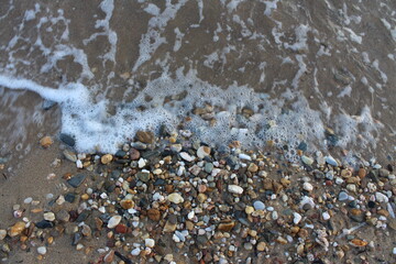 shells and stones on the beach
