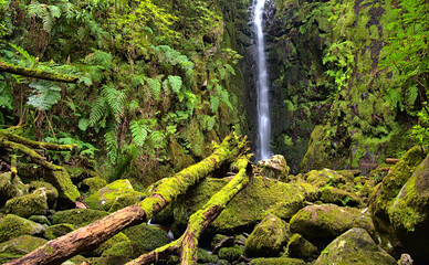 Wodospad Rabo da Burro, Madera © KRZYSZTOF