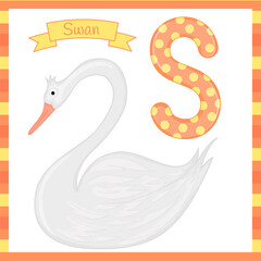 Cute children zoo alphabet S letter tracing of Swan for kids learning English vocabulary.
