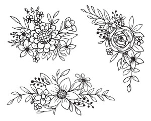 Set of flower and leaves line art collection