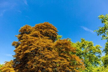 Erkundung der schönen Hauptstadt Frankreichs - Paris - Île-de-France - Frankreich