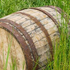 stara drewniana beczka w trawie, zardzewiałe obręcze