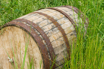 Obraz premium old wooden barrel on the grass