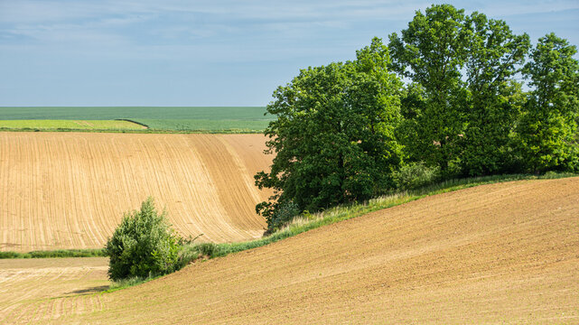 plowed fields in hilly terrain