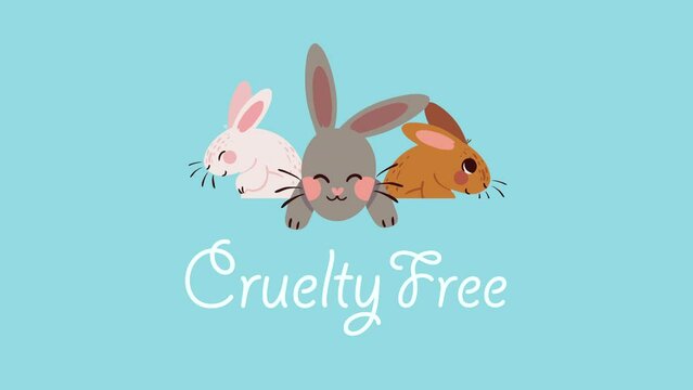 cruelty free lettering and rabbits