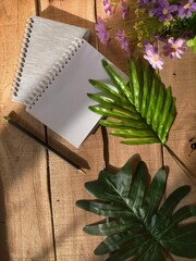 notebook, pen and leaf in the morning shadow