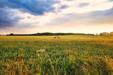 Golden Sunset Landscape