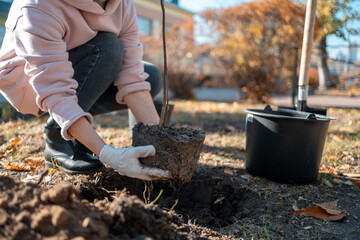 reforestation or volunteer hands in gloves planting new tree in city park