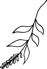 Leaf, Foliage illustration. Hand-drawn doodles illustration.
Line art.
