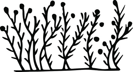 Grass bush  illustration. Hand-drawn doodles illustration.
Line art.