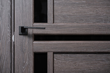 modern and secured metal closed door handle detail