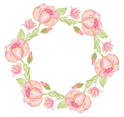 Pink flowers wreath illustration isolated on white background. Watercolor flower frame botanical painting.