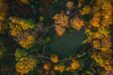 aerial photo of autumn forrest