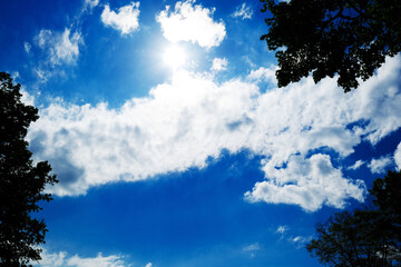 Deep blue sky, clouds and trees