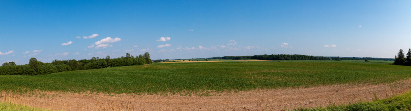 Ontario agricultural landscape photo in panoramic format showing the vast fields of soybeans and other cash crop